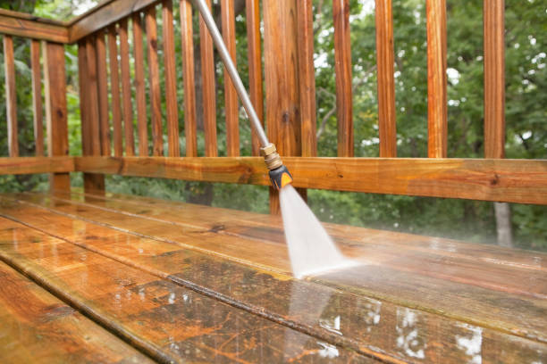 Animal Enclosure Cleaning in Bryant, WA